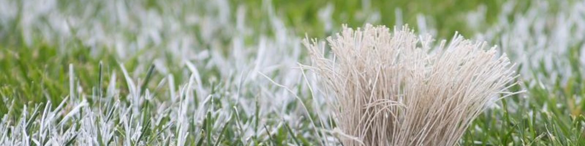 Heimpleite gegen Hörbranz