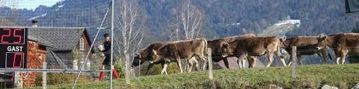 Spg. Großwalsertal - FC Hittisau